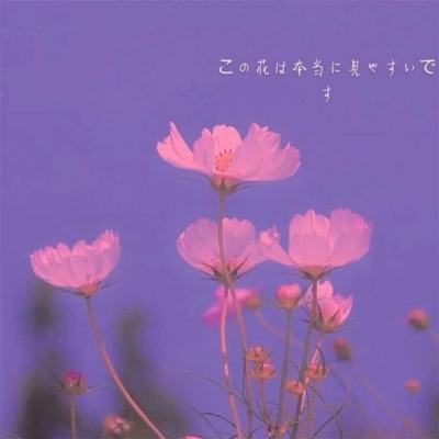 365平台下载手机app下载截图