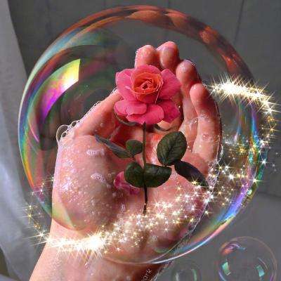 365平台下载手机app下载