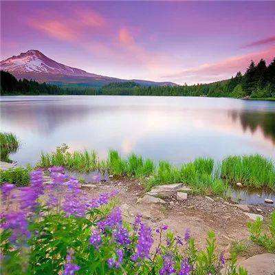 北京k10赛车下载截图